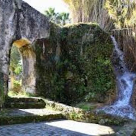 Alojamiento Del Duende Vejer de la Frontera Dış mekan fotoğraf