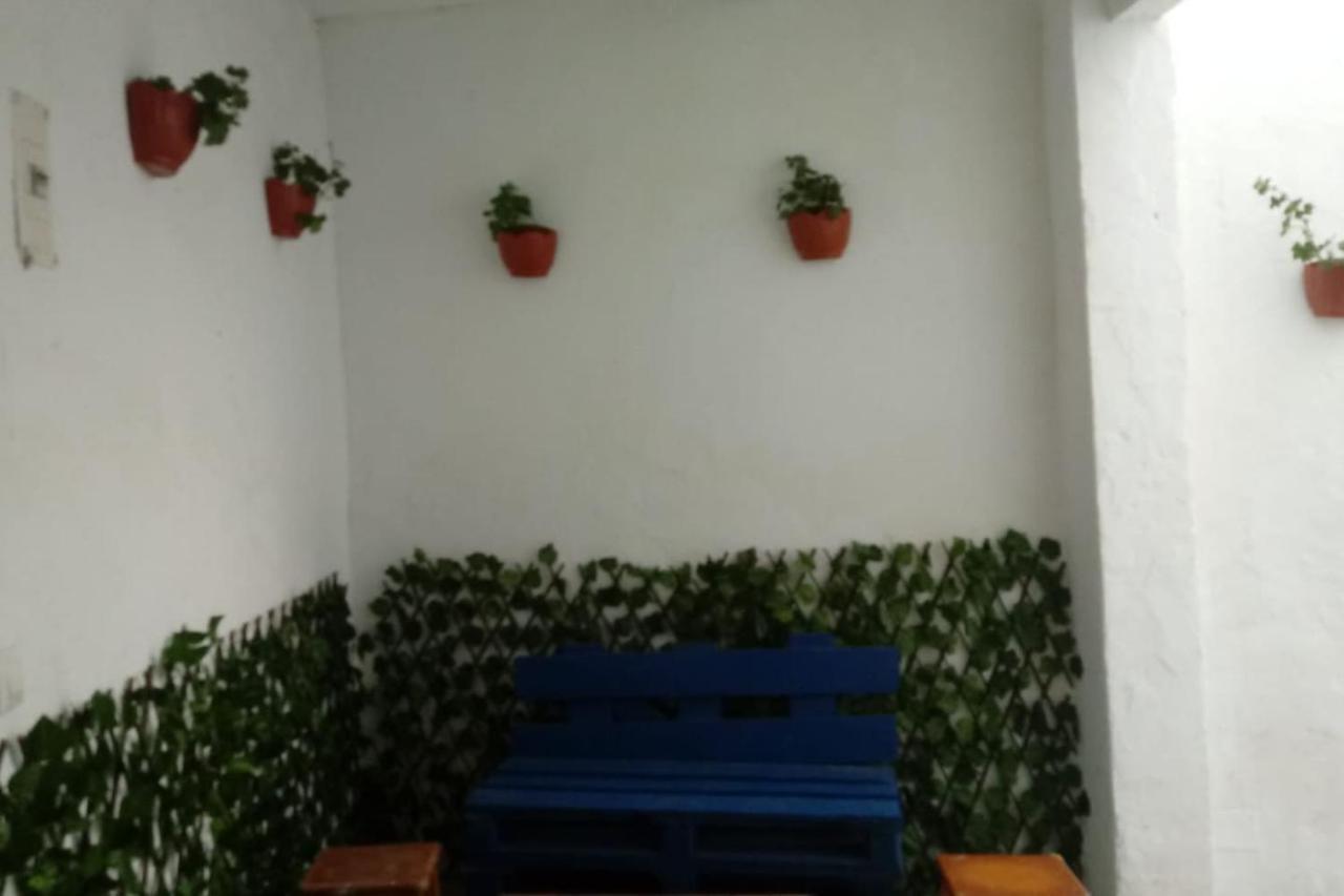 Alojamiento Del Duende Vejer de la Frontera Dış mekan fotoğraf